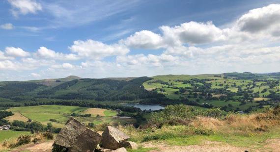 Grounded: A Gentle, Soulful Wander - 5 December