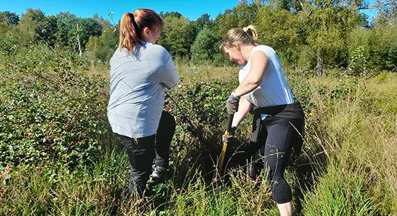 Battling the Birch