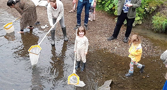 Macclesfield Bioblitz 2025