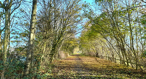 Volunteer day at the Lymm Railway Line