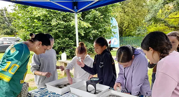 Macclesfield Bioblitz 2026