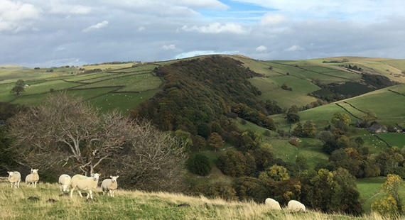 Evening Meditation and Deep Rest in Nature at Tegg's Nose - July