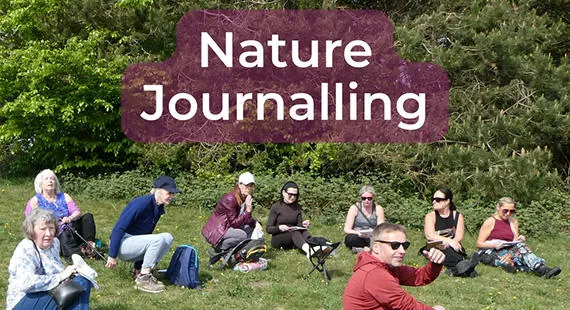 Nature Journalling: An Exploration of Your Senses at Rode Heath Rise - July