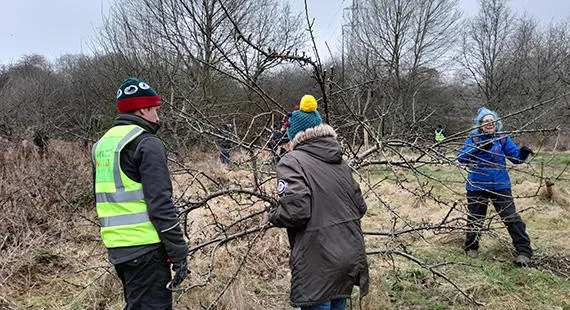Orchard Pruning at Riverside