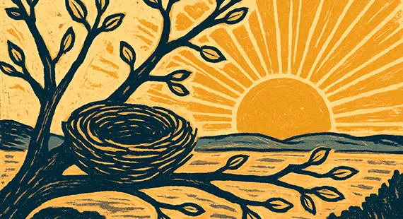 Begin again: a spring poetry workshop at Tegg's Nose