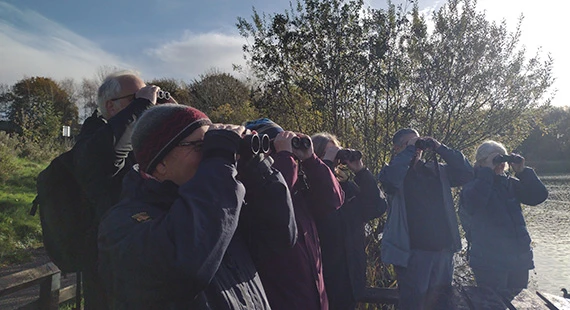 Birdwatching – Understanding More About Autumn Birds with Nature Stuff - Wednesdays