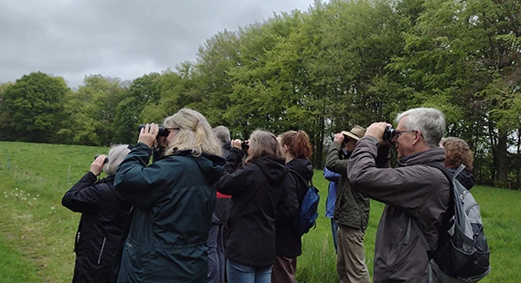 Birdwatching – Understanding Spring Birds with Nature Stuff I - Tuesdays