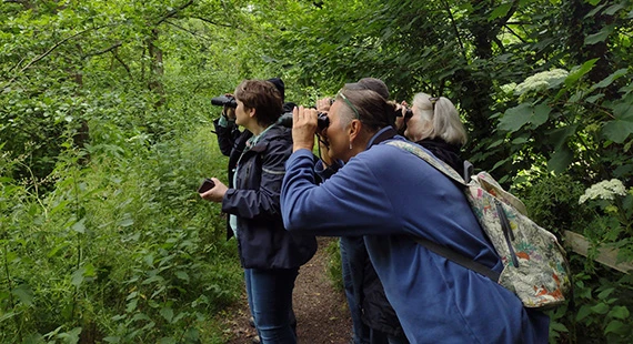 Birdwatching – Understanding Summer Birds with Nature Stuff - Tuesdays