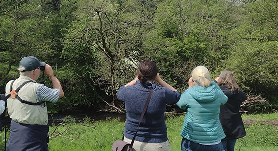 Birdwatching – Understanding Summer Birds with Nature Stuff - Wednesdays