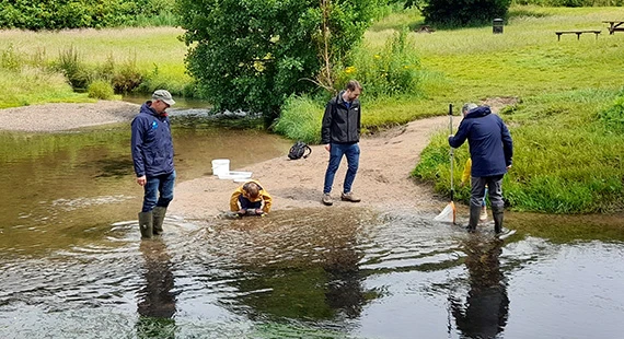 Wilmslow Bioblitz