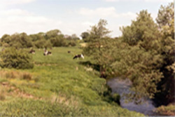 Julie and Robert Andrews Image of countryside fields