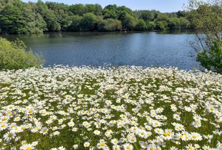 Brereton Heath Country Park