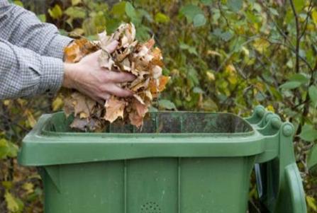 Garden waste subscription