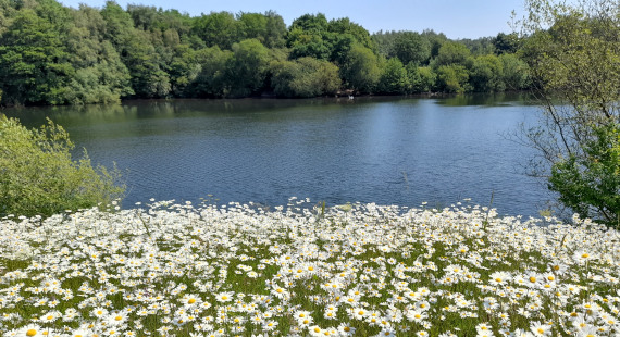 Brereton Heath Local Nature Reserve570x310