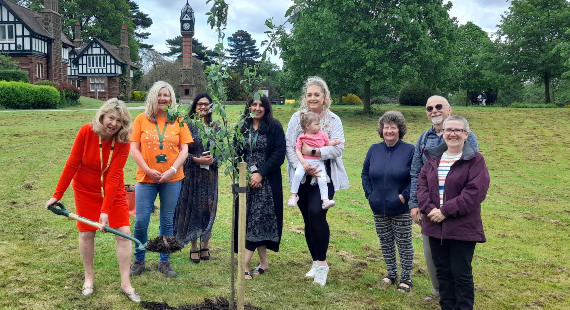 A group of people stood by a newly planted tree in a park