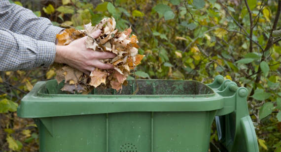 garden waste